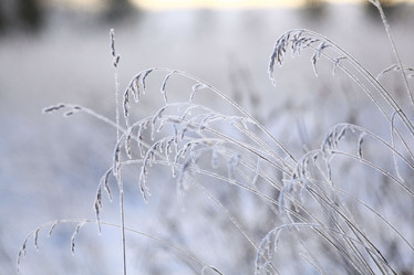 Similar image 10498971