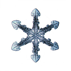 Similar image 10498974