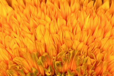 Similar image 10498975