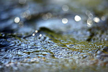 Similar image 10498983