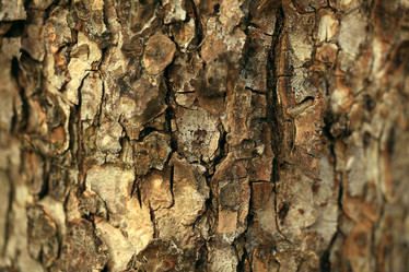 Similar image 10498985