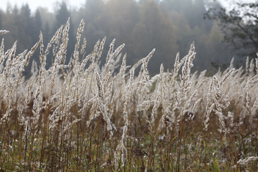 Similar image 10498986