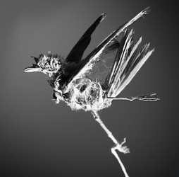 Similar image 10498988