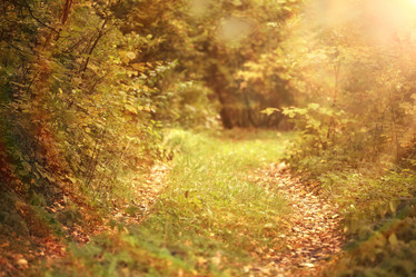 Similar image 10498989