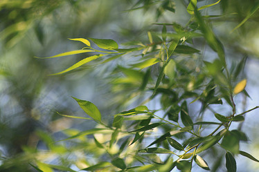 Similar image 10498992