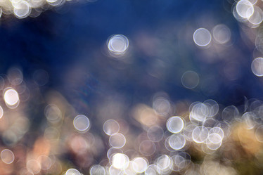 Similar image 10498994