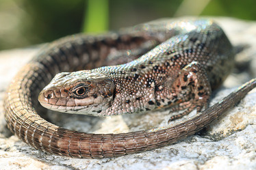 Similar image 10499004