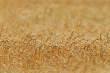 Similar image 10499005