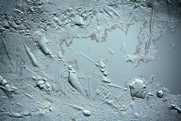 Similar image 10499011