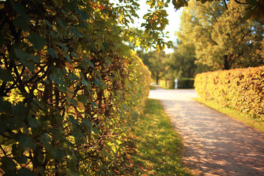 Similar image 10499016