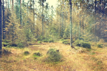 Similar image 10499029