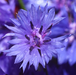 Similar image 10499031