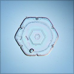 Similar image 10499039