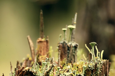 Similar image 10499050