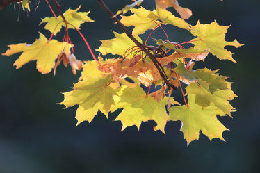 Similar image 10499053