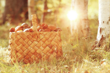 Similar image 10499056