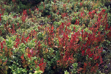 Similar image 10499060