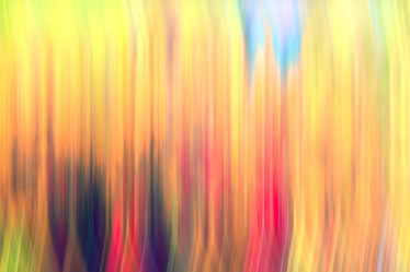 Similar image 10499062