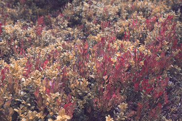 Similar image 10499064