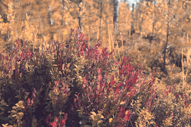 Similar image 10499066