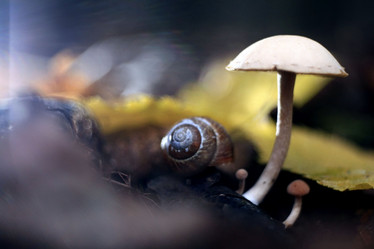 Similar image 10499072