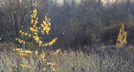 Similar image 10499075