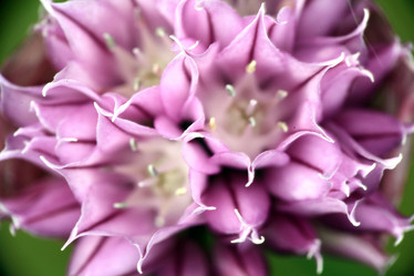 Similar image 10499076