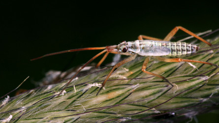 Similar image 10499077