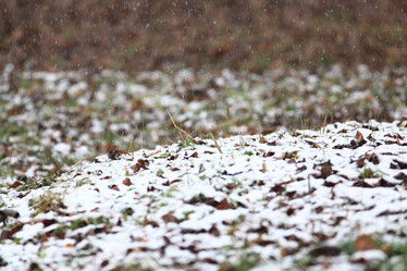 Similar image 10499080