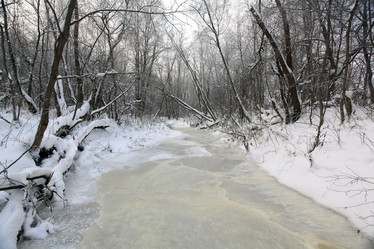 Similar image 10499081