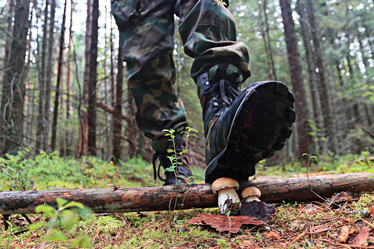 Similar image 10499095