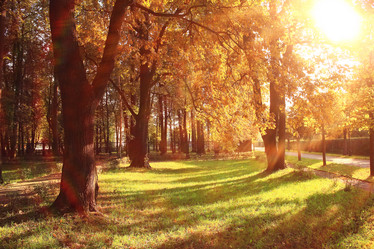 Similar image 10499097