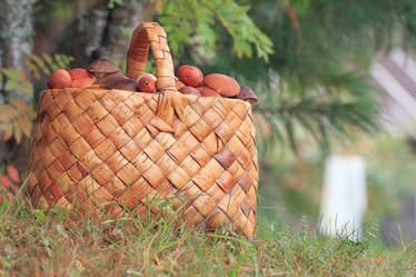 Similar image 10499098