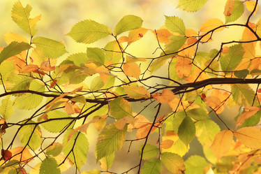 Similar image 10499101