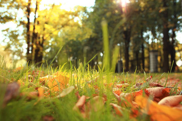 Similar image 10499102