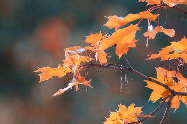 Similar image 10499110