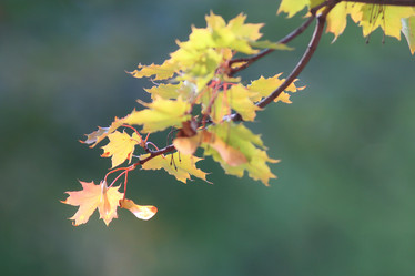 Similar image 10499112