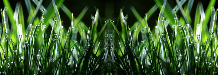 Similar image 10499119