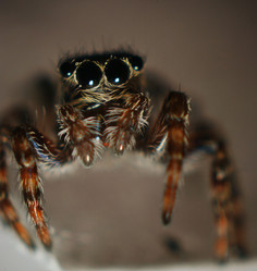 Similar image 10499121