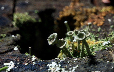 Similar image 10499127