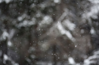 Similar image 10499128