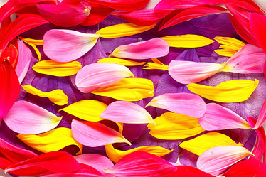 Similar image 10499132