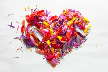 Similar image 10499134