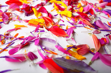 Similar image 10499139