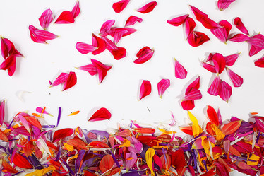 Similar image 10499141