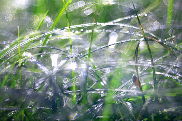 Similar image 10499153