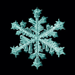 Similar image 10499156