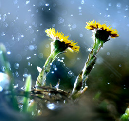 Similar image 10499163