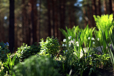 Similar image 10499170