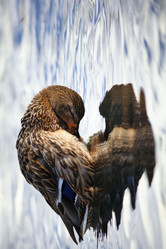 Similar image 10499178